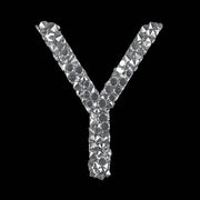 Iceyard logo